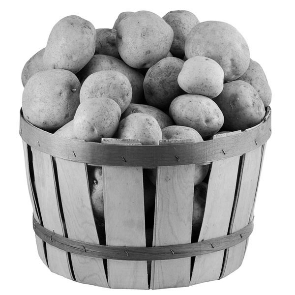 Small Potatoes Savvy Dad, Greg Hague